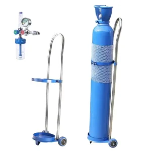 2L 5L 10L 20L 40L 50L ISO9809 Steel Oxygen Cylinder with Trolley Regulator Portable Oxygen Gas Cylinders