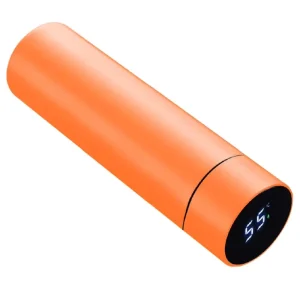 500ml Double Wall 18/8 Stainless Steel Thermal Insulated Water Bottle with Lid and Temperature Display