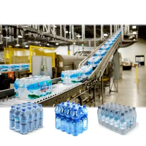 Automatic 4000BPH 5000BPH Mineral Water Production Line and Bottling Filling Machine