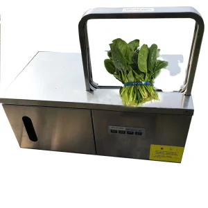 Automatic Strapping Machine with Plastic Strap for Vegetable Packaging