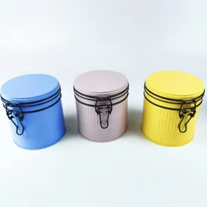 Colored Steel Wire-Fastened Food-Grade Iron Box for Coffee Beans and Cookies