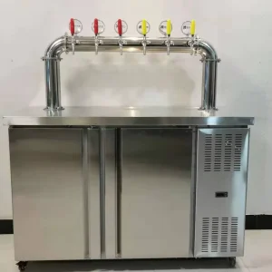 Commercial Beer and Juice Dispenser with 6 Beer Taps and Cooler