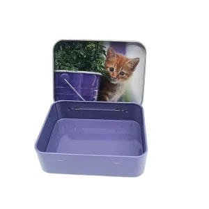 Custom Food Grade Tinplate Metal Cans and Gadget Box Recyclable Craft Packaging for Gifts and Crafts