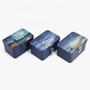 Custom Logo Rectangle Tinplate with Lock Desktop Storage Photos Metal Tin Can Gift Decorative Packaging Hinged Tin Box
