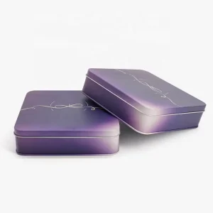 Custom Printed Rectangular Empty Metal Tin Box with Foam Lining for Cosmetics and Liquids