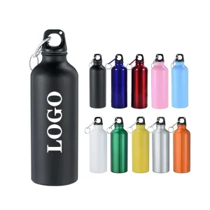 Customizable 400ml 500ml 600ml 750ml Aluminum Sport Water Bottles Single Walled with Carabiners & Portable Screw Lids