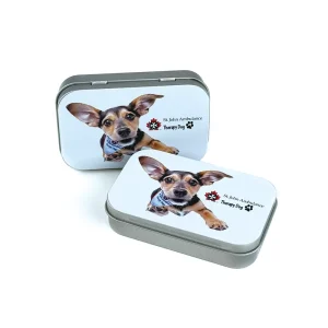 Customized Printed Hinged Rectangular Metal Tin Box for Candy