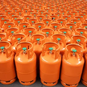 Excellent Material Durable 12.5kg 26.5L Steel LPG Gas Cylinder for Home Cooking