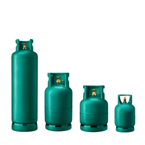 Factory Cooking Gas Cylinders 3kg 6kg 10kg 12kg 12.5kg 15kg LPG Steel Gas Cylinders