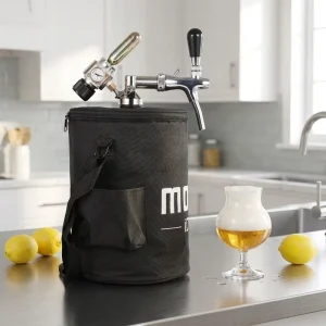 Food Grade 5L Mini Keg for Craft Beer Dispenser System Adjustable Beer Keg with Mini CO2 Regulator Kit