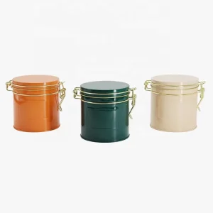 Food grade Custom sealed Tinplate Metal Cans with Buckles for Tea Coffee Beans Candy and Chocolate