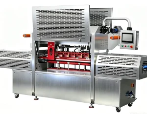 Fully Automatic MAP and Vacuum Skin Packaging Tray Sealing Machine with Conveyor Belt