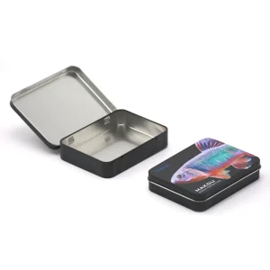 [In Stock] Rectangular Tinplate Box Xiaohongshu Bestseller One Piece Hinged Lid Window Matte Finish Storage Customizable