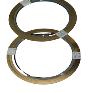 N6 Nickel Strip Ni200 Ni201 Pure Nickel Strip Foil