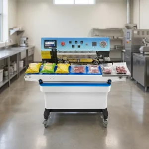 Nitrogen Gas-Flushing Vacuum Continuous Band Sealer with TIJ Inkjet Printer