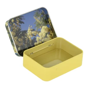 OEM Tinplate Small Metal Can with Hinge Lid for Sewing Crafts and Stickers