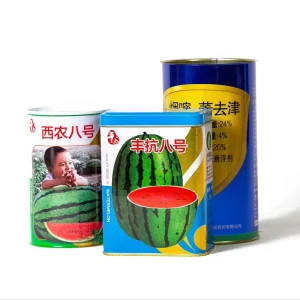 Portable Welded Iron Tin Container for Storage or Crafts