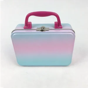 Protective Rectangular Tinplate Storage Case with Handles for Tools