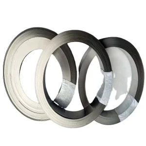 Pure Nickel Strip Ni200 Ni201 Nickel Foil for Batteries