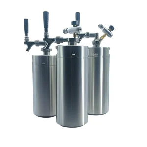 Reusable Stainless Steel Draft Beer Keg 2L 3.6L 4L 5L 10L US Euro DIN European Style