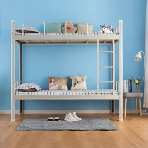 School Dormitory Minimalist Modern Bunk Beds Double-layered Steel Frame Thickened Single Bed for Staff Bedroom