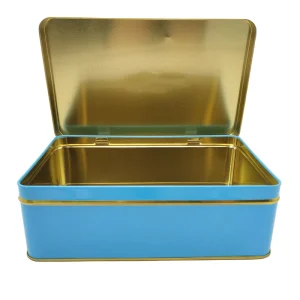 Square Eco-Friendly Metal Hinged Storage Box with Hinged Lid Closure