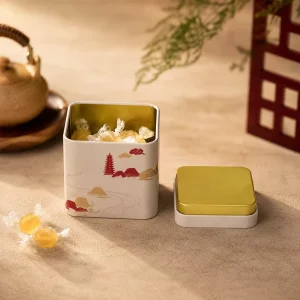 Square Metal Packaging Tin Box for Candies, Paper Clips and Tea, 65x65x65mm, OEM Manufacturer, Matte Finish